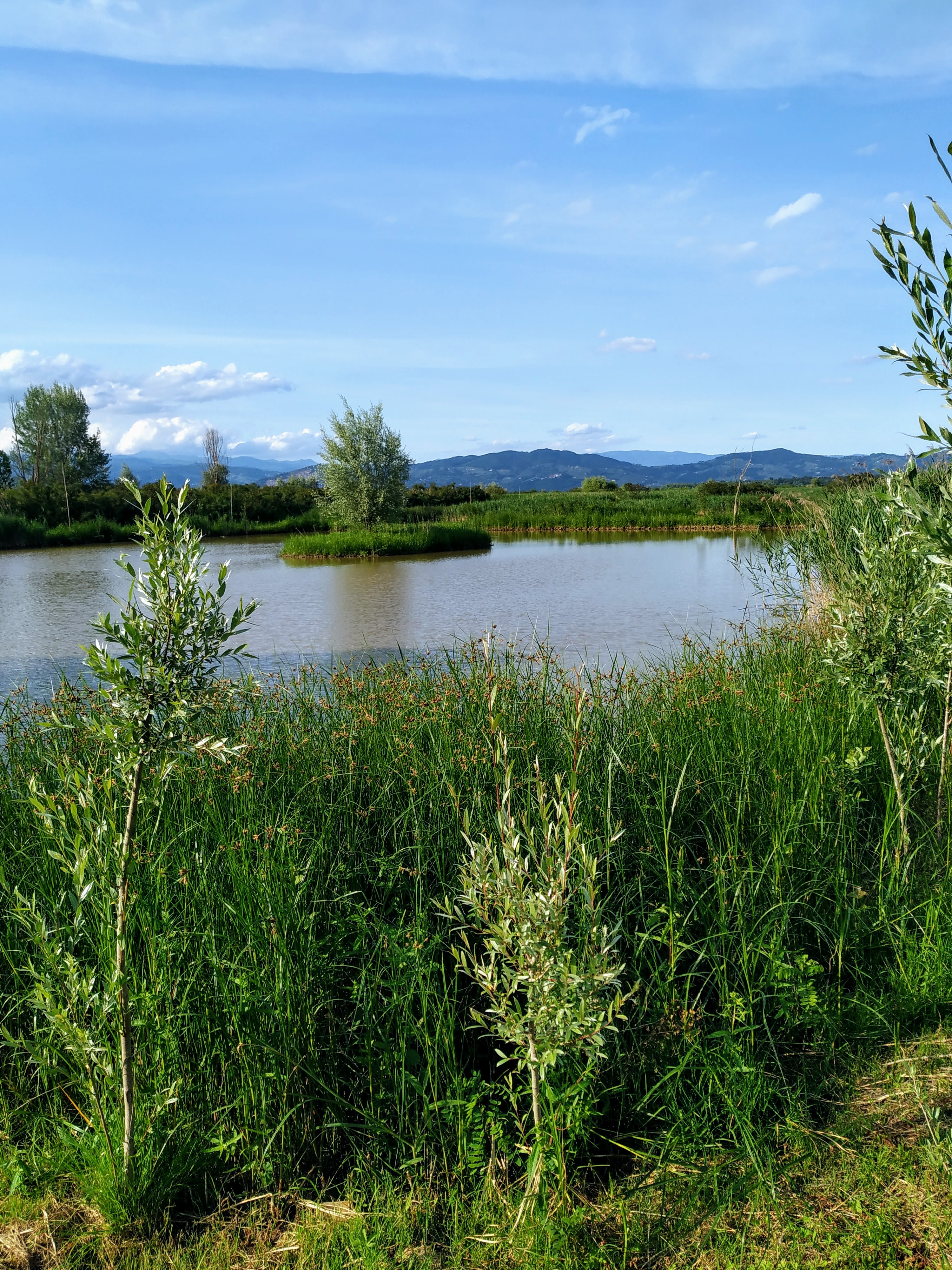 GEP 2021 - Escursione alla scoperta del Padule di Fucecchio